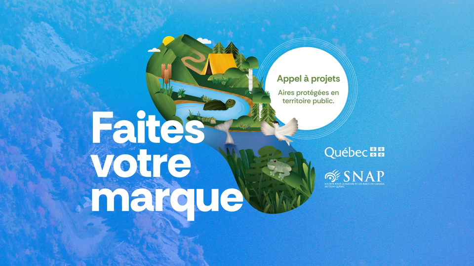Animation de logo et motion graphics réalisés par Propulse-toi