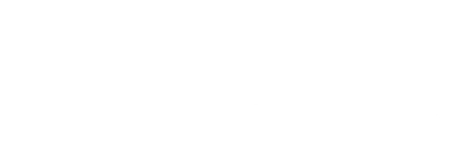Logo du Parti Québécois dans Hochelaga, client de Propulse-toi